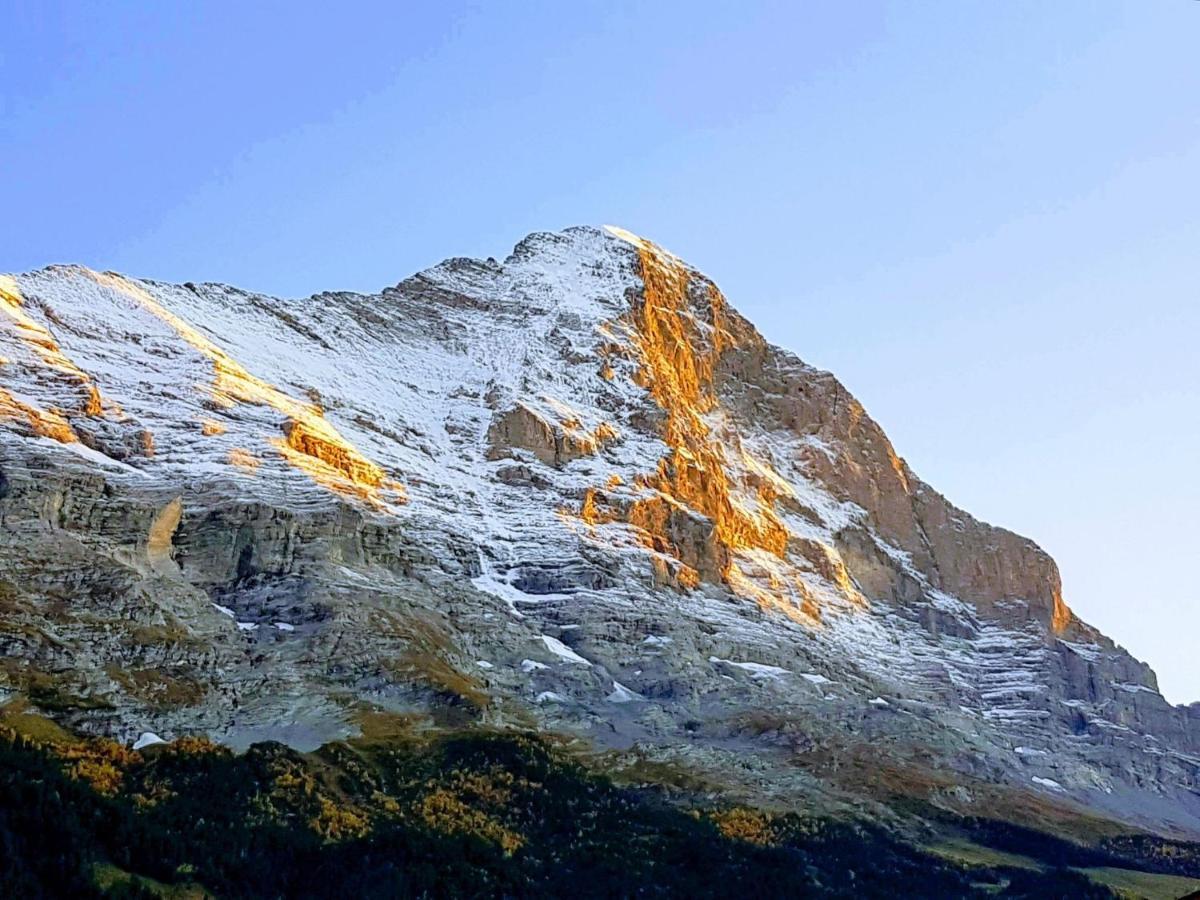 Apartment Chalet La Muntaniala Grindelwald Bagian luar foto