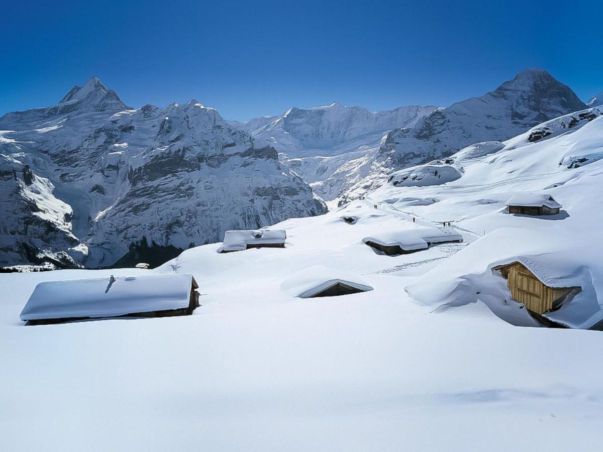 Apartment Chalet La Muntaniala Grindelwald Bagian luar foto