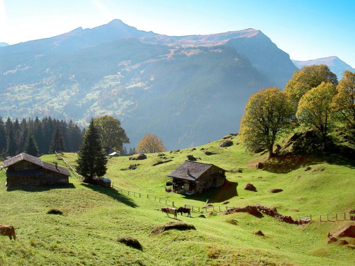 Apartment Chalet La Muntaniala Grindelwald Bagian luar foto
