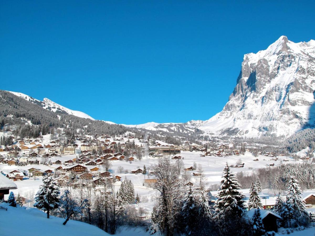Apartment Chalet La Muntaniala Grindelwald Bagian luar foto