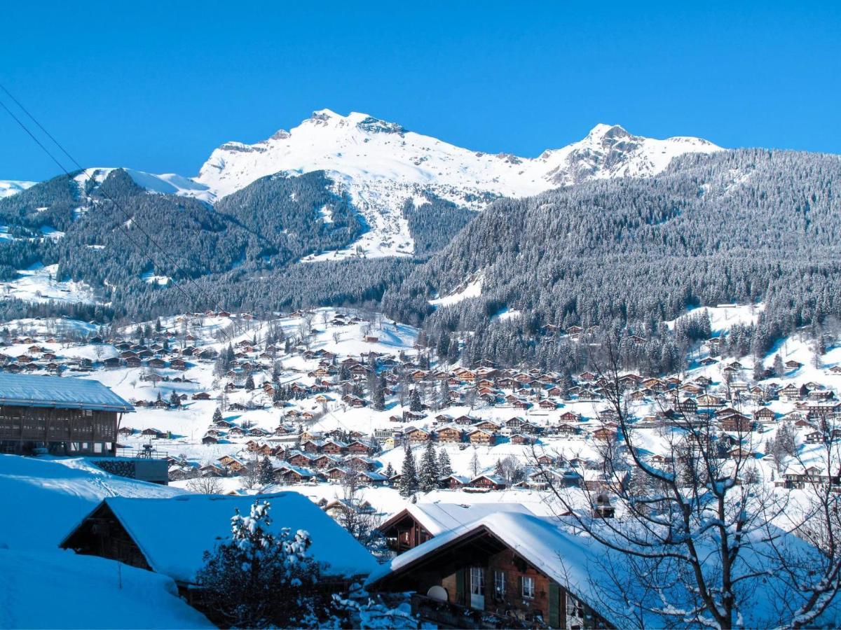 Apartment Chalet La Muntaniala Grindelwald Bagian luar foto
