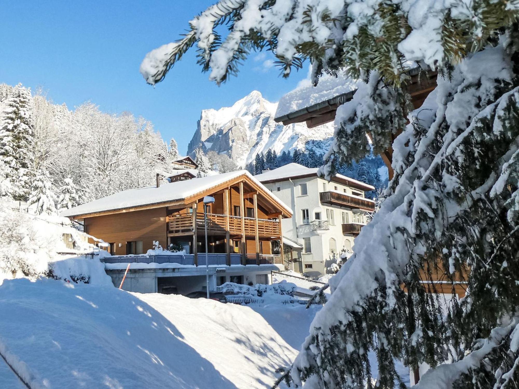 Apartment Chalet La Muntaniala Grindelwald Bagian luar foto